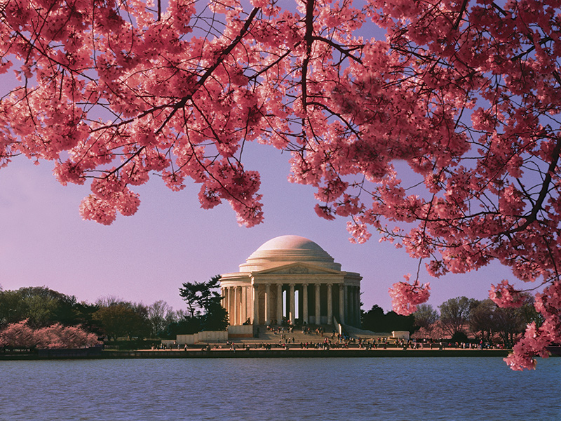 Washington, DC: as atrações e encantos da capital dos&nbsp;EUA