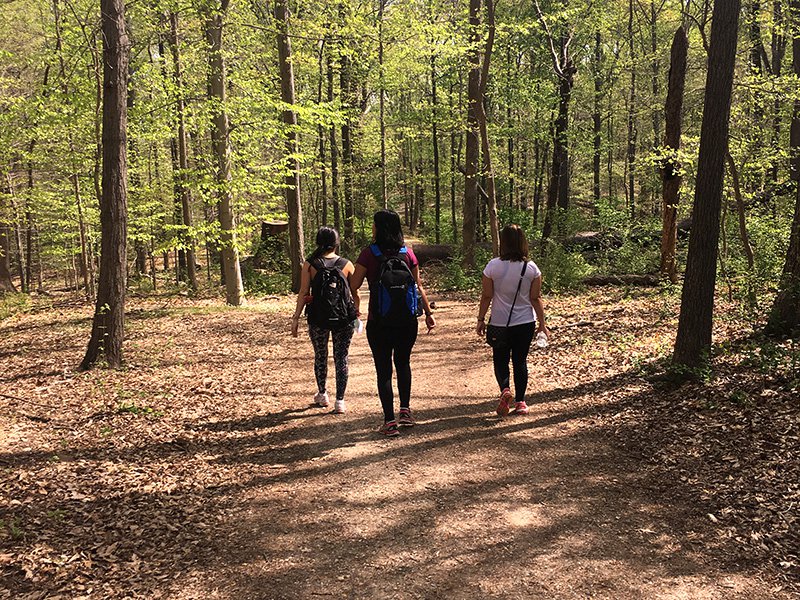 Região da capital dos EUA: destino para estar em meio à&nbsp;natureza